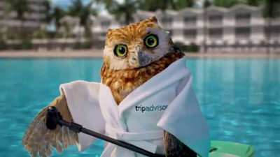 British Male Voice - Tony Collins Fogarty was the voice of TripAdvisor's owl on TV.  Still from campaign.
