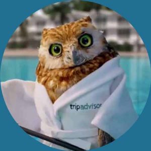 The Tripadvisor owl.  British voice actor Tony Collins-Fogarty was the brand voice in a series of commercials on US TV (and UK and Canada)