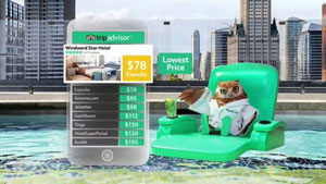 Screenshot for the Tripadvisor TV campaign featuring Tony as the male voiceover for the owl.